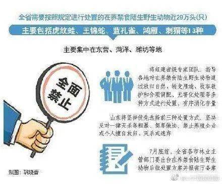 警惕2025澳彩资料免费大全，揭秘虚假宣传的陷阱与执行策略