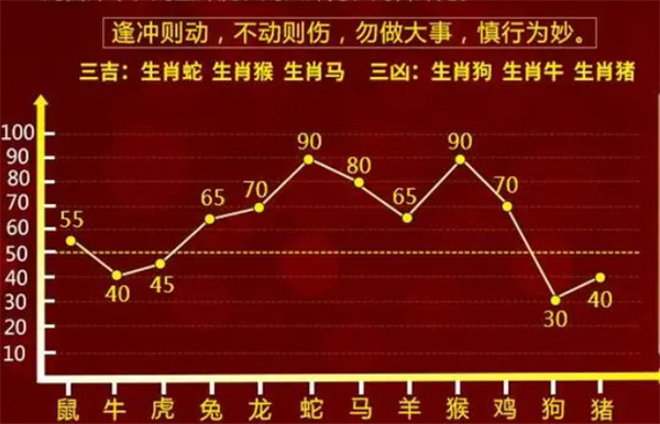 香巷白小姐一肖一码100正确，实用释义解释落实