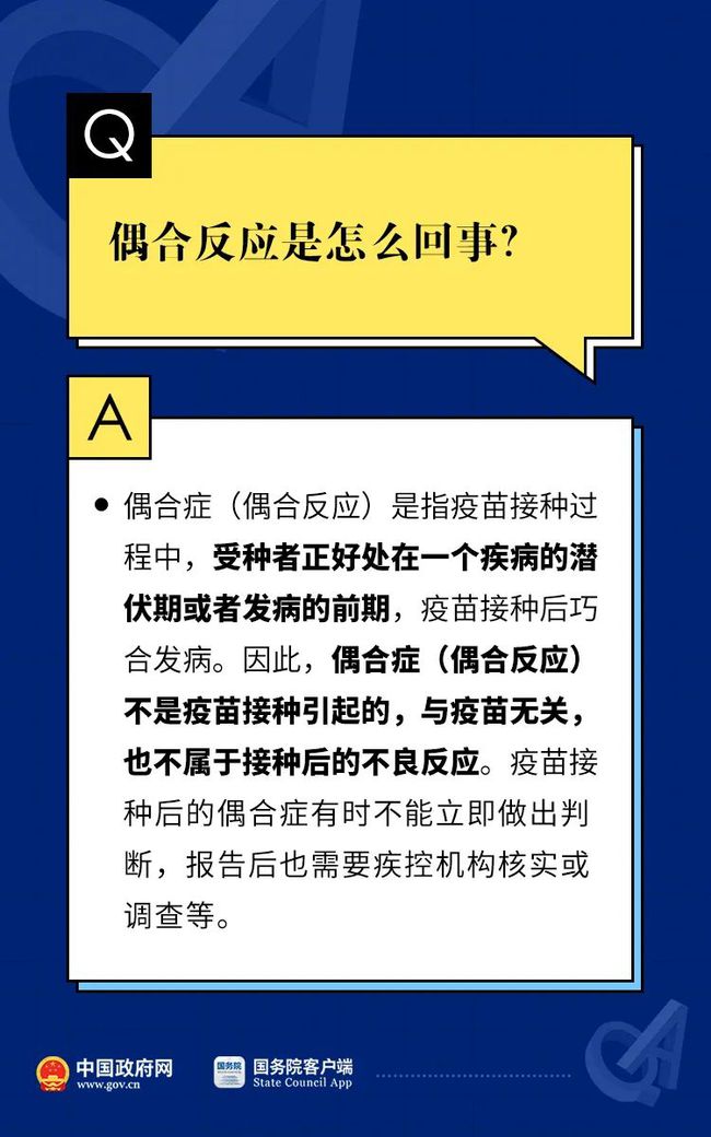 新澳门资料大全正版资料2025年免费下载,家野中特，精选解析解释落实