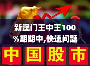 新澳门王中王100%期期中，全面释义解释落实