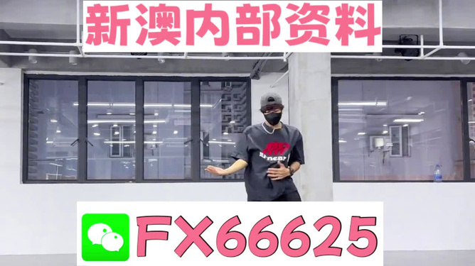 管家婆一码一肖100准，精准解析与科学应用