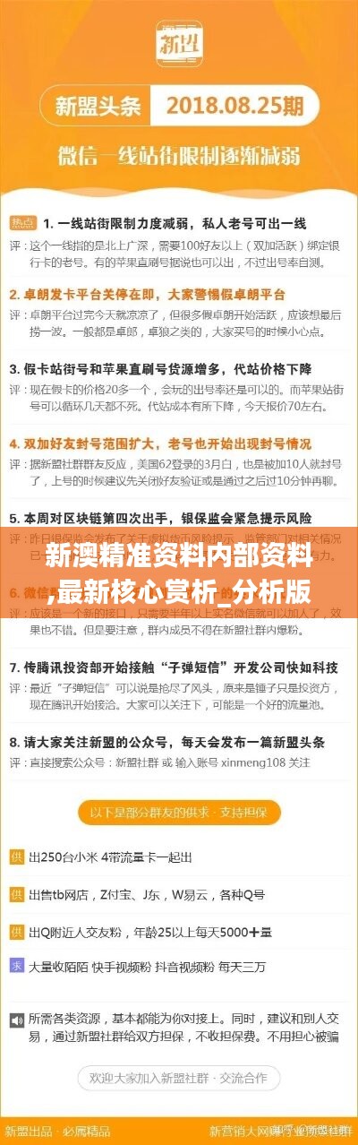 2025新澳最准最快资料，词语释义解释落实
